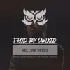 OwlKid - Hollow Bells - Single