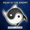 Fear Is the Enemy - Energy Rising - EP