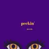 MSM - Peekin' - Single