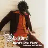 Blackbird - Bird's Eye View