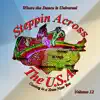 Various Artists - Steppin Across the USA, Vol. 12