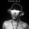 Yariss - Possible