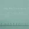 The Polaroid Bear - This Is All a Ghost