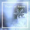 Youngju Jung Novel - Tears of Snow - Single