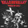 HellsingValley - WakeUpCall (feat. Chris Marek) - Single