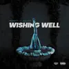 Respect n Salute - Wishing Well (feat. Zabo Gotti) - Single