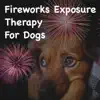 Diggity Dog Pet Music - Fireworks Exposure Therapy For Dogs