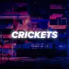 RnB Instrumentals - Crickets - Single