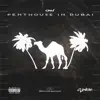 CAN - Penthouse in Dubai - Single