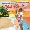 Ashana Finesse & Marlon Easy - Yuh Like It (feat. Christopher Martin) - Single