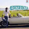 Sibte Hassan - Rom Rom - Single