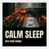 Train Ambiance & Sound Effects Zone - Calm Sleep with Train Sounds