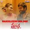 Raghu Kunche & Tejaswini - Nakkileesu Golusu (From \