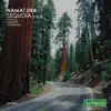 Namatjira - Sequoia - Single