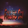 ManiksWorld - FallingSky/Arcadia - Single