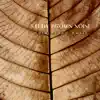 Brown Noise Warriors, Granular Brown Noise & Brown Noises - Study Brown Noise & Rain (Piano Music)