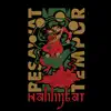 Pesawat Tempur - Halilintar - Single