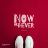 tubebackr - Now or Never - Single