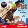 Das wilde Pack - Teil 4: Das wilde Pack lässt es krachen