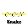 Çaçan Beats - Snake - Single