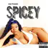 Icey - Spicey - Single