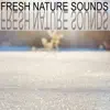 Nature Sounds - Fresh Nature Sounds