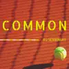 Dj Serbinuff - Common