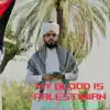 Amin Al Hasanaat - My Blood Is Palestinian - Single