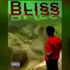 J Bliss - No Bliss (feat. KreezTheArtist & Whoadie Hason) - Single