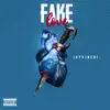 Jayvinchi - Fake Love - Single