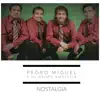 Pedro Miguel y Su Grupo Amnistia - Nostalgia