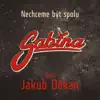 Sabina Krovakova - Nechceme Být Spolu (feat. Jakub Děkan) - Single