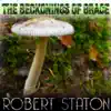 Robert Staton - The Beckonings of Grace - Single