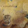 Cicinatela - Tungi