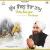 Bhai Gurjant Singh - Dukh Bhanjan Tera Naam - Single