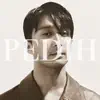 Aidil Maula - Pedih - Single