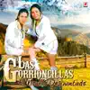 Las Gorrioncillas - El Novillo Despuntado