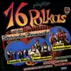 Various Artists - 16 zünftige Polkas mit der Steirischen Harmonika