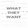 Bel Air Beezy - What They Want - Single