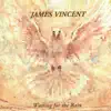 James Vincent - Waiting for the Rain