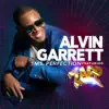 Alvin Garrett - Ms. Perfection (feat. Zapp) - Single