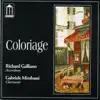 Richard Galliano & Gabriele Mirabassi - Coloriage