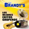 Los Brandys - Los Mejores Éxitos Gruperos