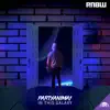 PartyAnima1 - In This Galaxy - Single