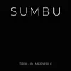 Sumbu - Tebilin Merarik - Single