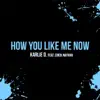 Karlie D. - How You Like Me Now (feat. Erick Nathan) - Single