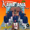 Organizacion Karavana Show - De Amigos