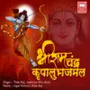 Tilak Raj & JayShree Shiv Ram - Shree RamcHandra Krupali Bhajman - Single