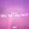 HippenHow - Why the Long Face? - Single