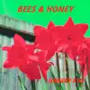 Harvey Evo - Bees & Honey - EP